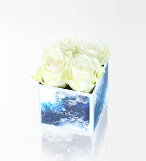 Sea Blue Mini Kutuda 4 Beyaz Gül