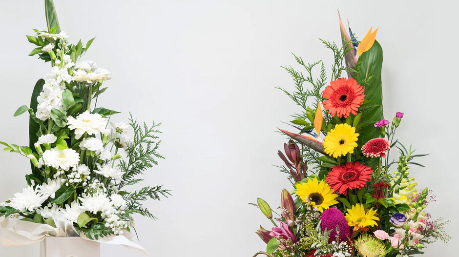 Balık Burcu Çiçekleri – Balık Burcu Çiçek Önerileri