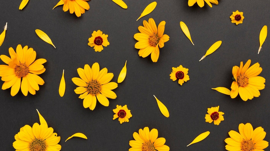 İkizler Burcu Çiçekleri – İkizler Burcu Çiçek Önerileri