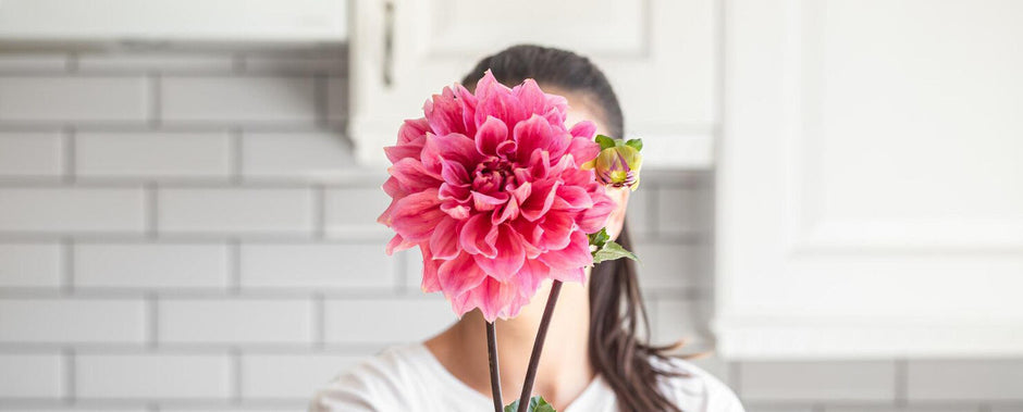 Ocak Ayı Doğum Çiçekleri: Kışın Zirvesinden Gelen Dayanıklı Güzellikler!