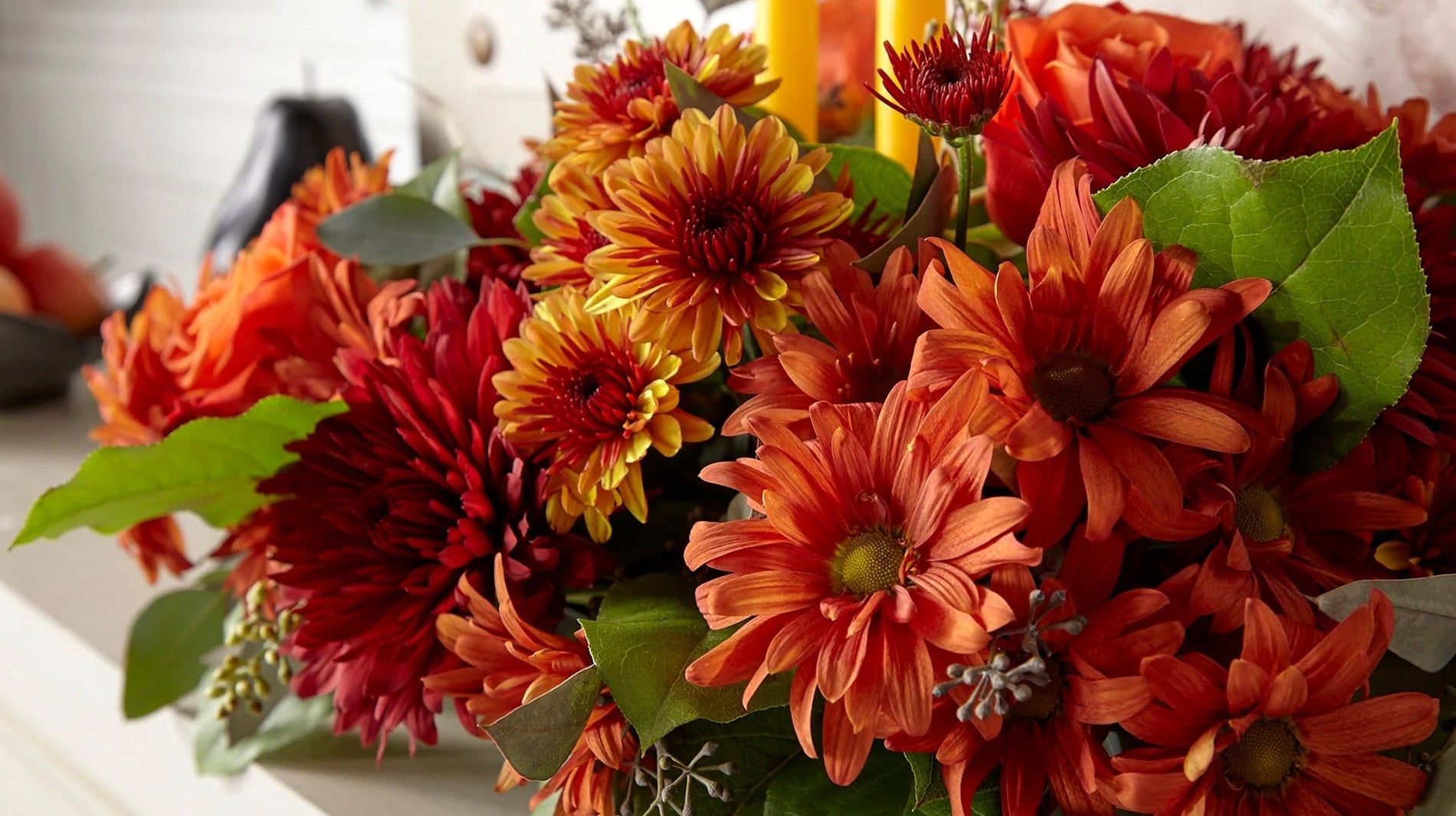 Oğlak Burcu Çiçekleri – Oğlak Burcu Çiçek Önerileri