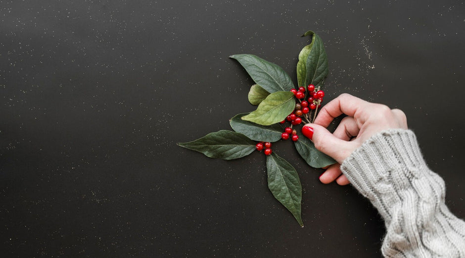 Aralık Ayı Doğum Çiçekleri Kış Ortasında Yürekleri Isıtan Mutluluk