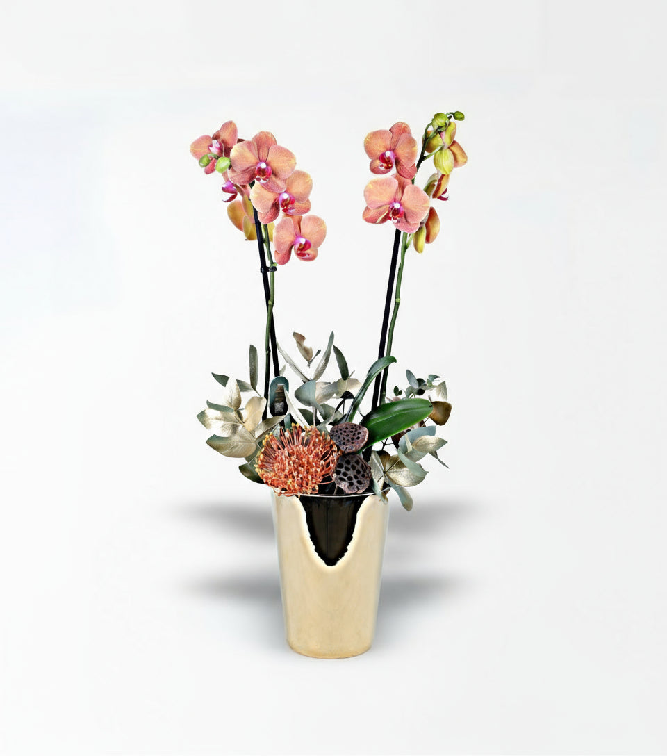 Bronz Cam Saksıda Turuncu Orkide Aranjmanı