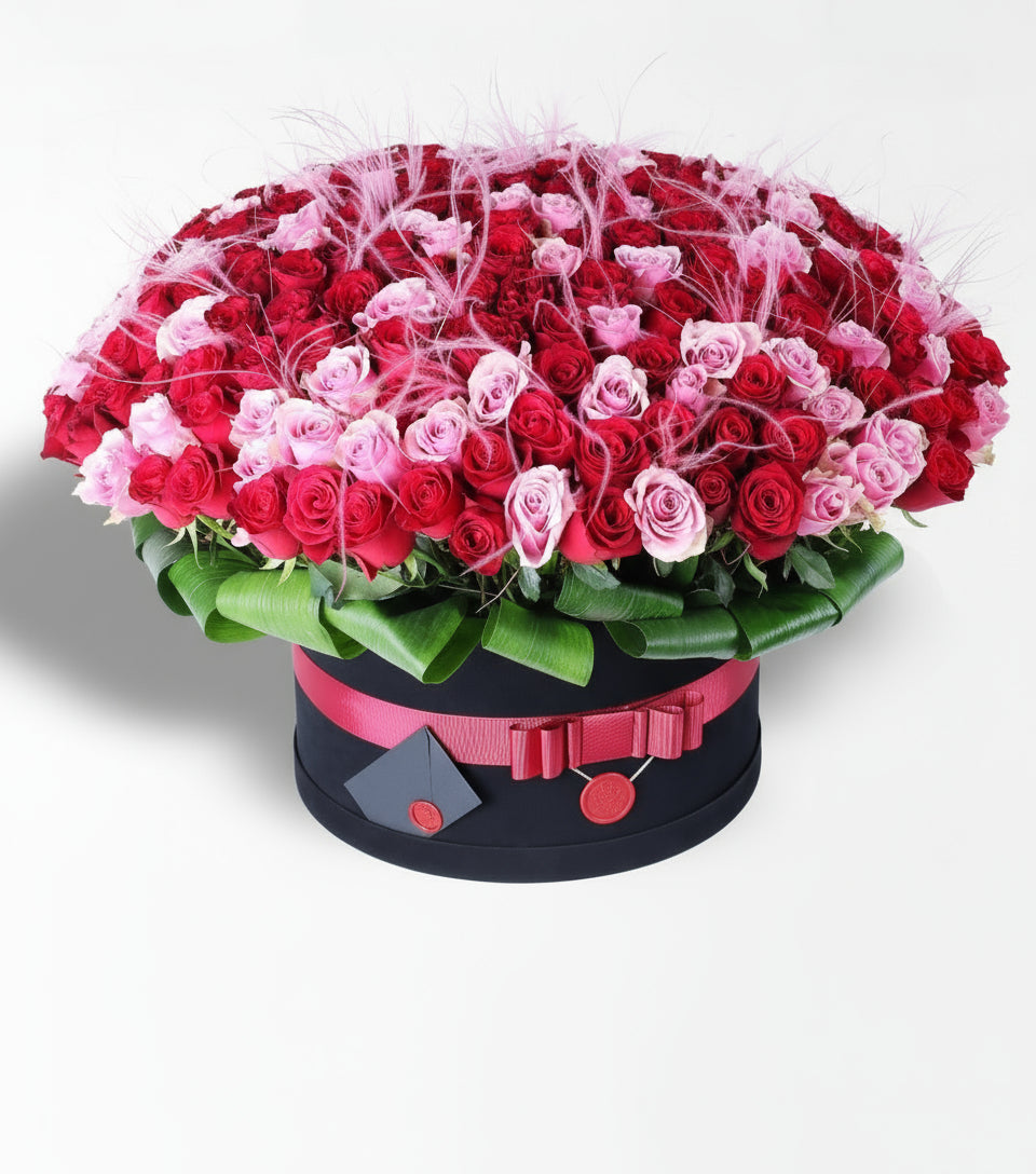 Dev Siyah Kutuda 350 Pembe Kırmızı Gül Sevgililer Günü Çiçeği