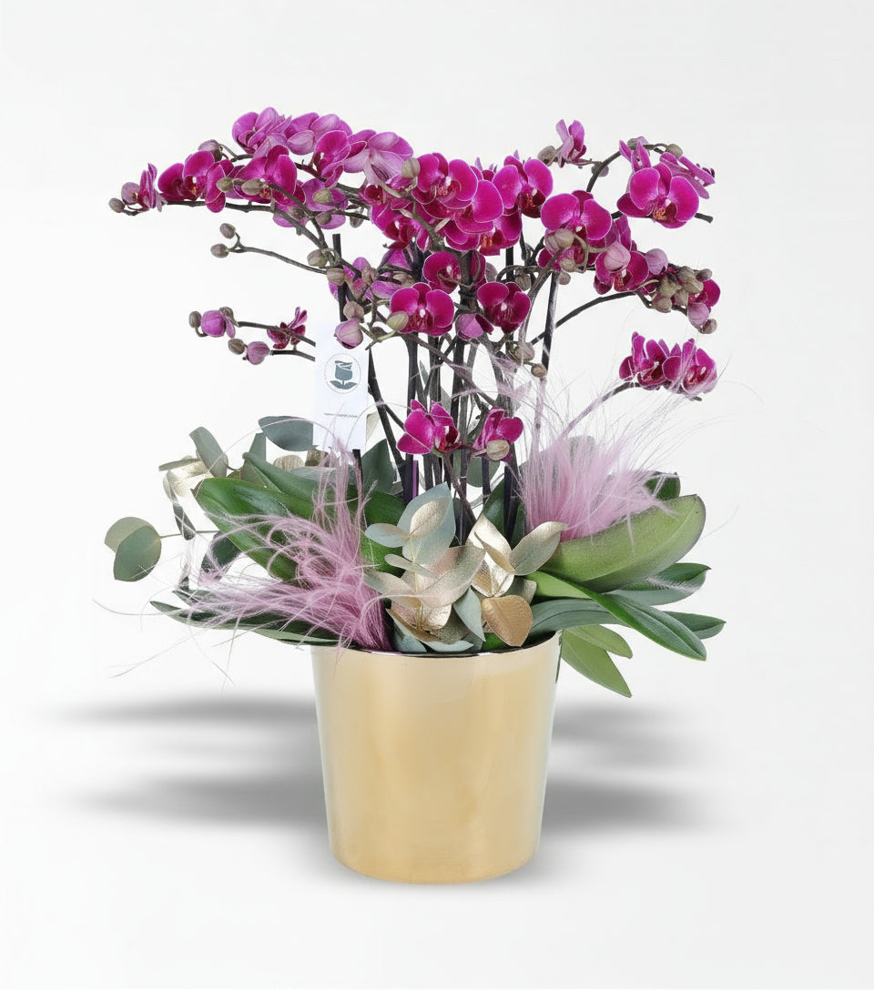 Gold Cam Vazoda Altın Okaliptus Ve Mor Bellisimo Orkide