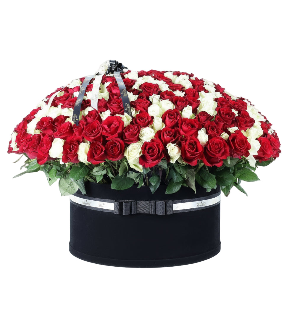 Dev Kutuda 400 Adet Kırmızı Ve Beyaz Güller