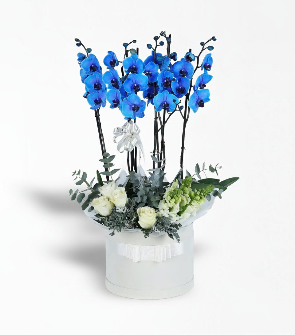 Beyaz Kutuda Mavi Orkide, Beyaz Güller, Aslan Ağzı Aranjmanı