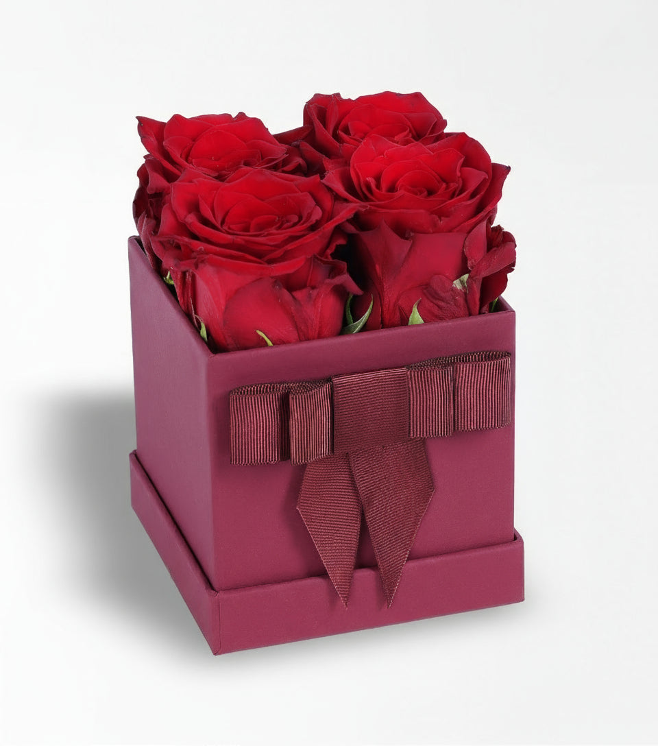 Bordo Kutuda 4 Adet Kırmızı Ekvator Gülü