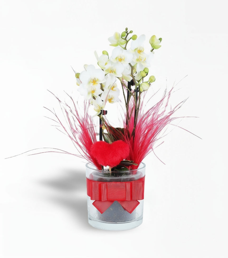 Cam Vazoda Bougetto Beyaz Orkide Sevgililer Günü Çiçeği
