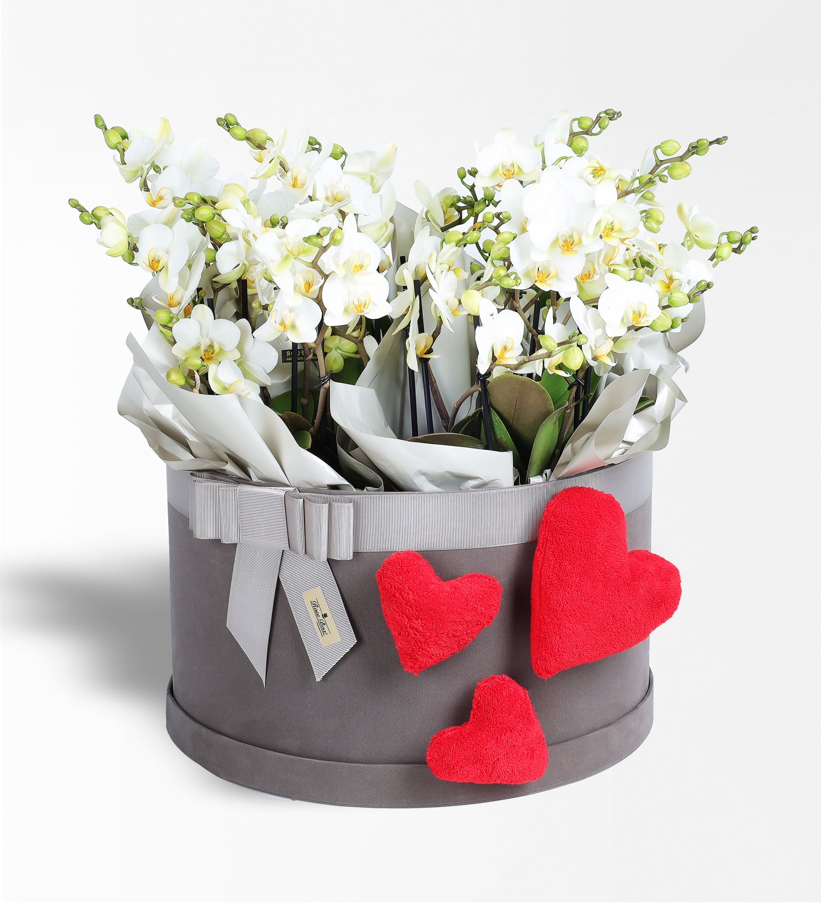 20 Dallı Beyaz Bellisimo Orkide