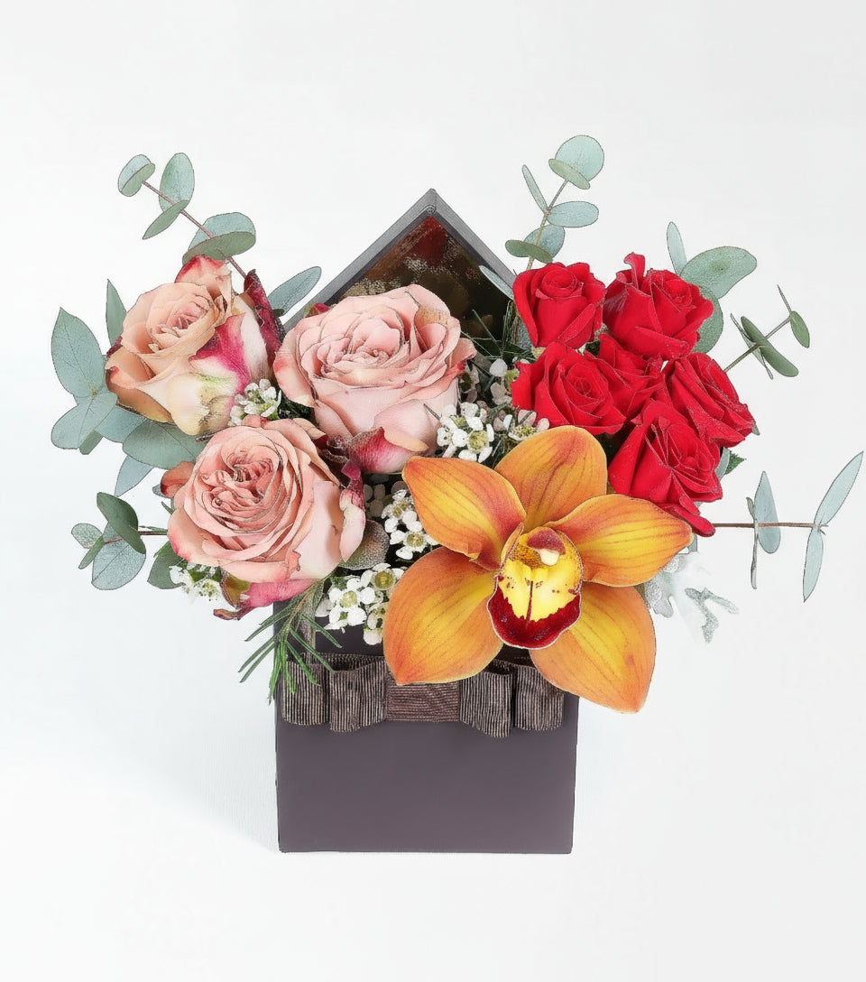 Capucino Gül, Cybidium Orkide ve Çardak Güler