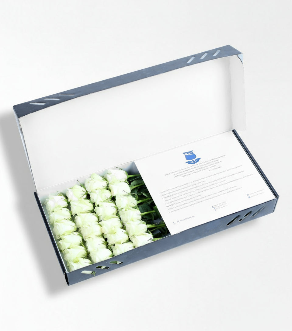 Mila Kutuda 24 Adet Beyaz Gül