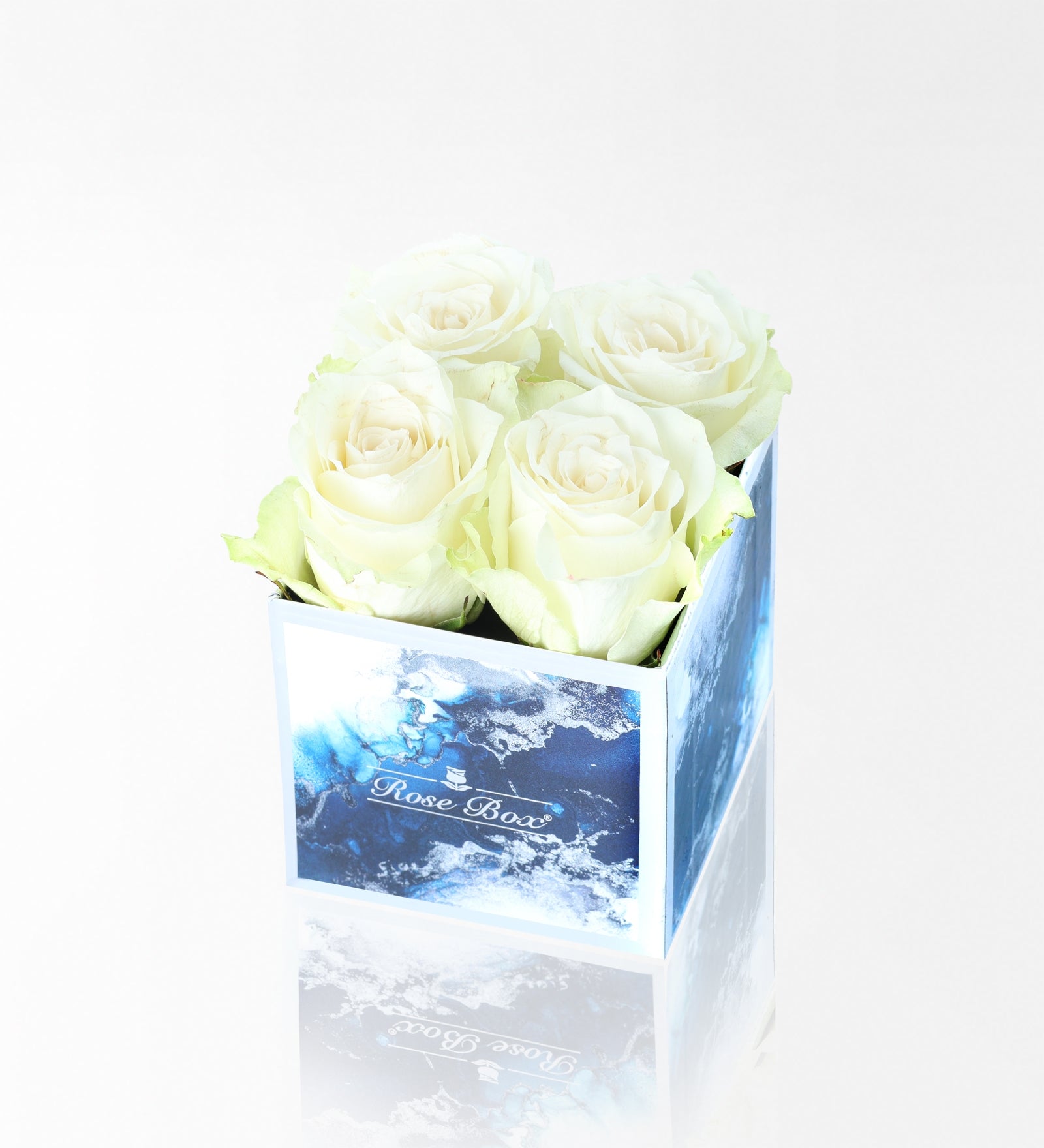 Sea Blue Mini Kutuda 4 Beyaz Gül