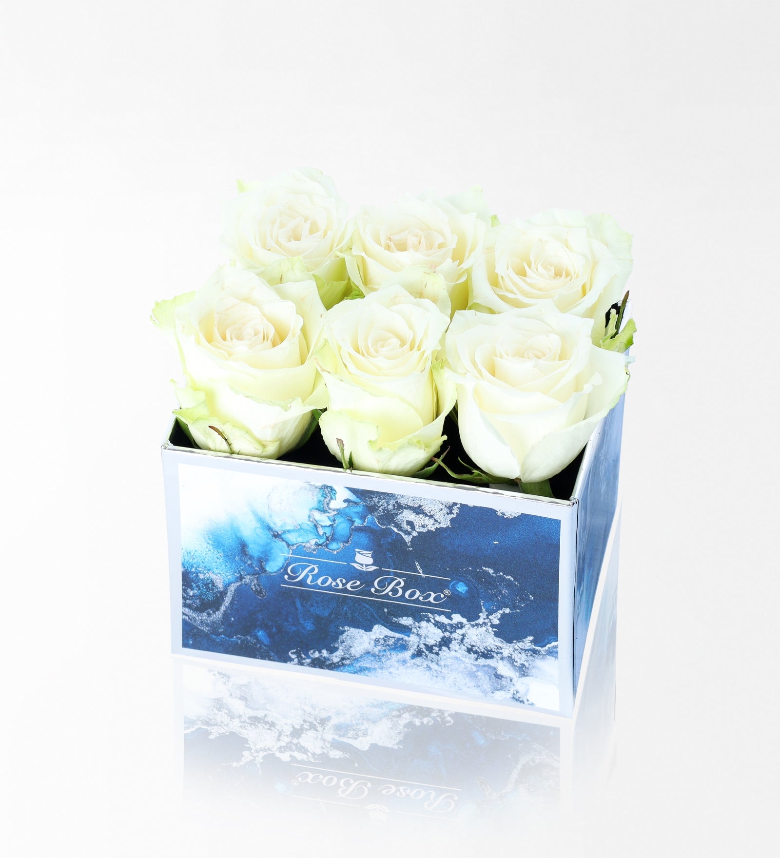 Sea Blue Midi Kutuda 6 Beyaz Gül