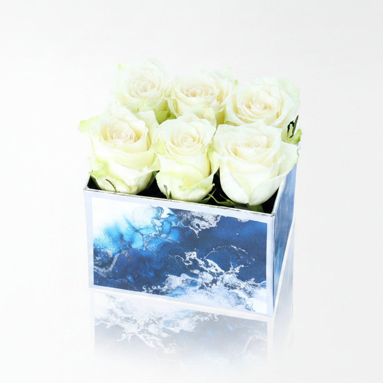 Sea Blue Midi Kutuda 6 Beyaz Gül