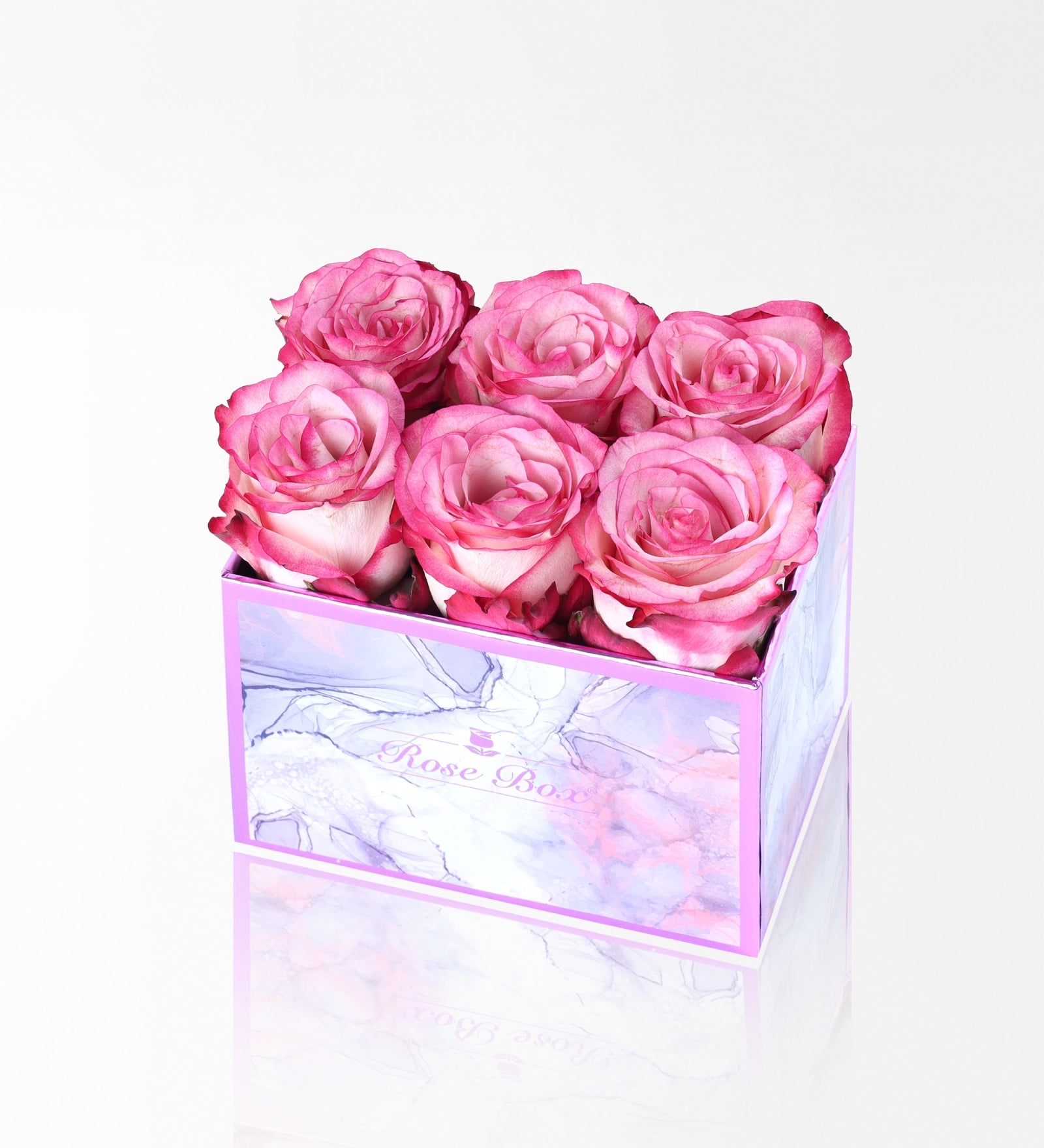 Dia Midi Kutuda 6 Pembe Gül