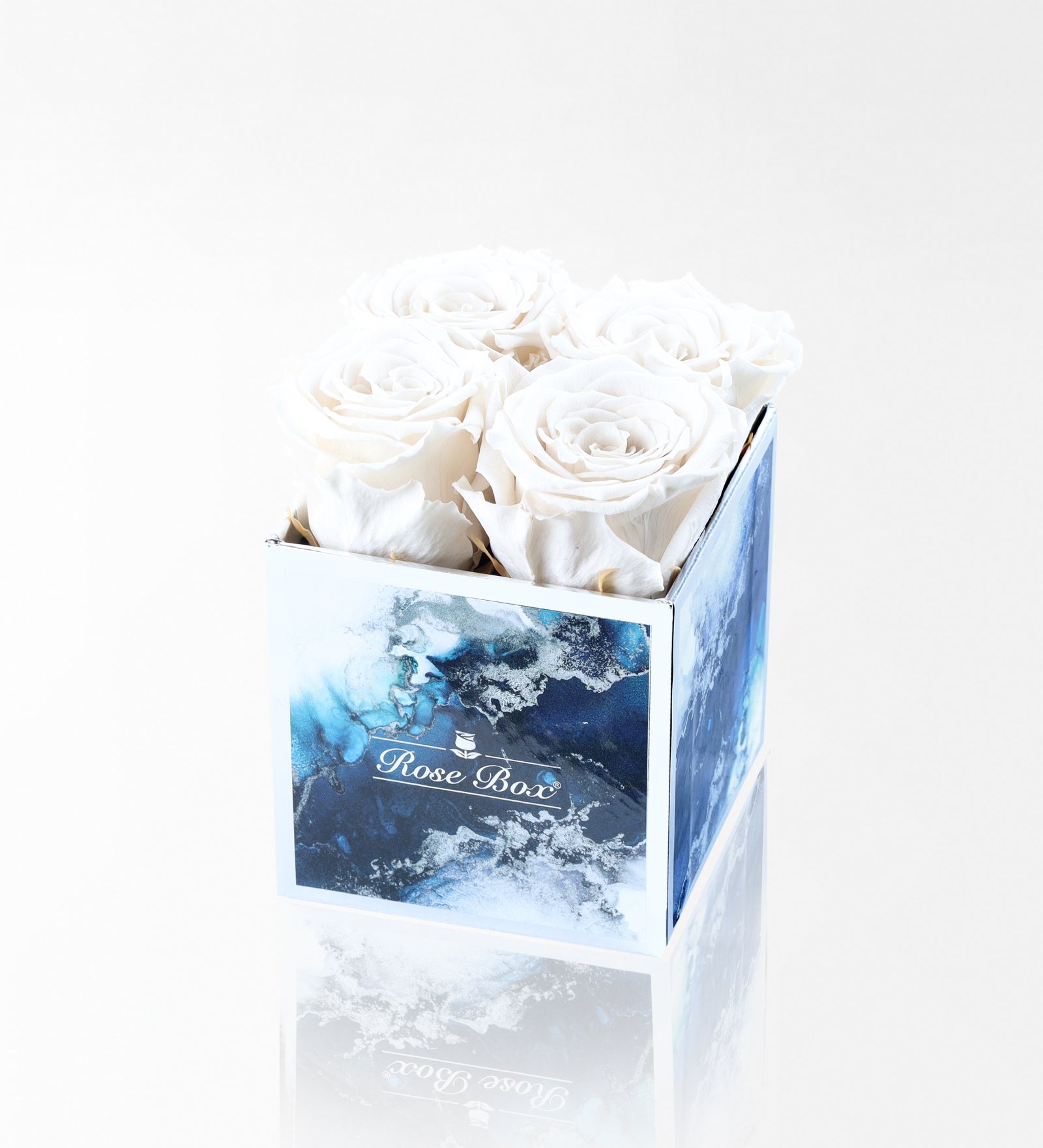 Sea Blue 4 Beyaz Solmayan Gül