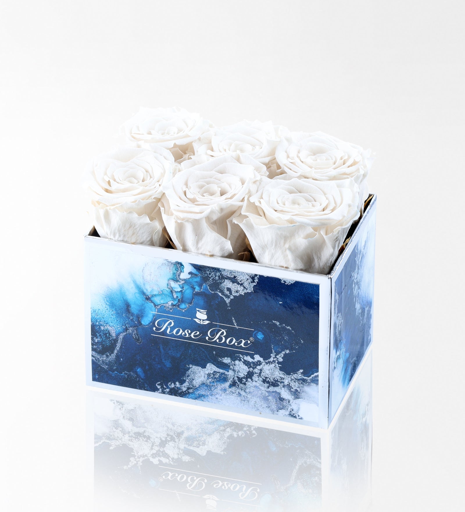 Sea Blue 6 Beyaz Solmayan Gül