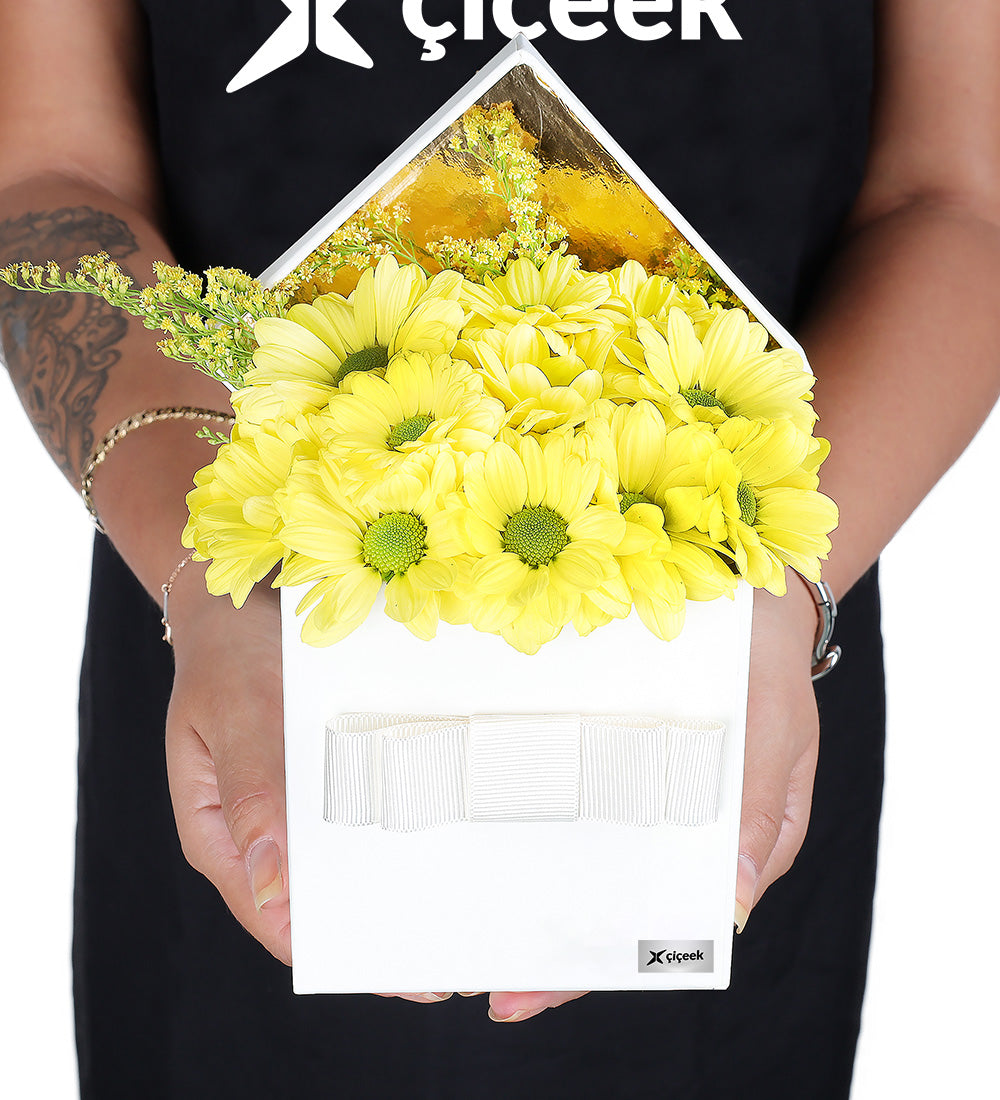 Beyaz Kutuda Sarı Papatya Aranjmanı