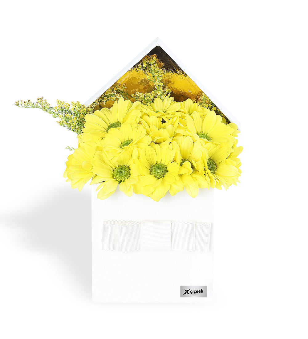 Beyaz Kutuda Sarı Papatya Aranjmanı