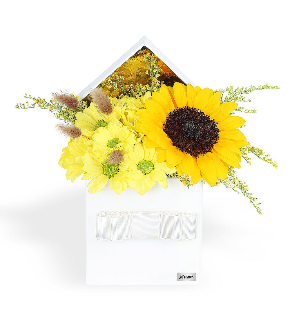 Beyaz Kutuda Sarı Papatya Ve Ayçiçeği Aranjmanı