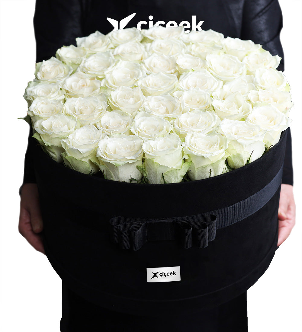 Deya Dev Boy Kadife Kutuda Beyaz Güller