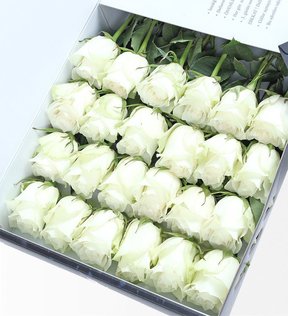 Fotoğraf Baskılı Beyaz Gül