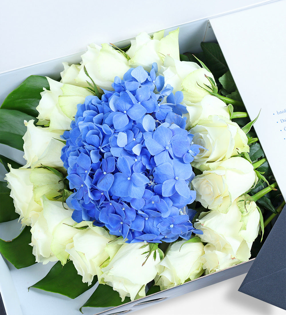 Fotoğraf Baskılı Beyaz Gül ve Mavi Ortanca