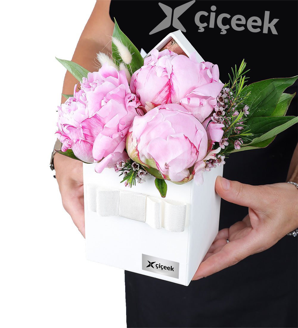 Krem Kutuda Pembe Şakayık Ve Wax Çiçeği