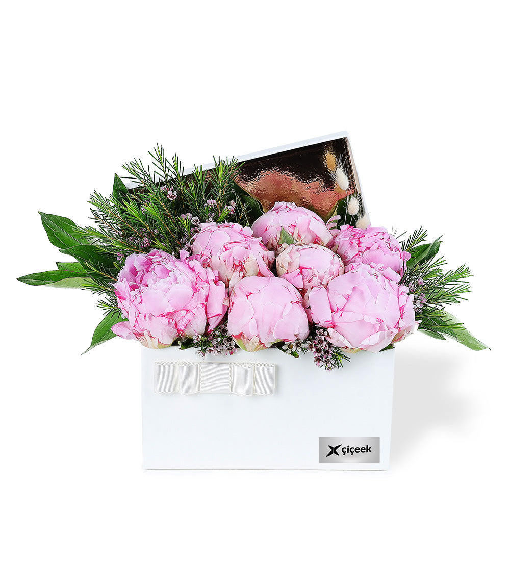 Krem Kutuda Pembe Şakayık Ve Wax Çiçeği Xl