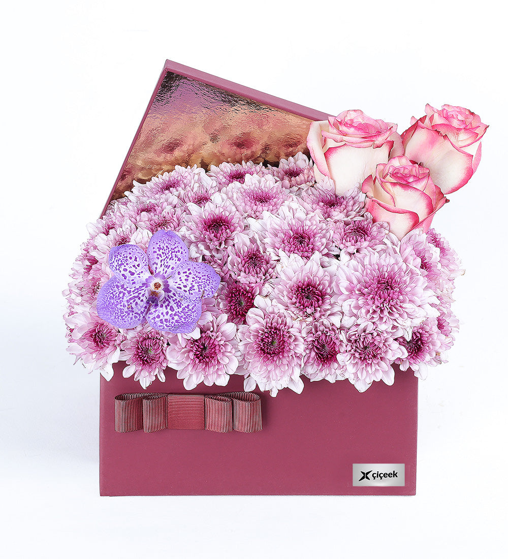 Pembe Papatya Ve Vanda Mor Orkide XL