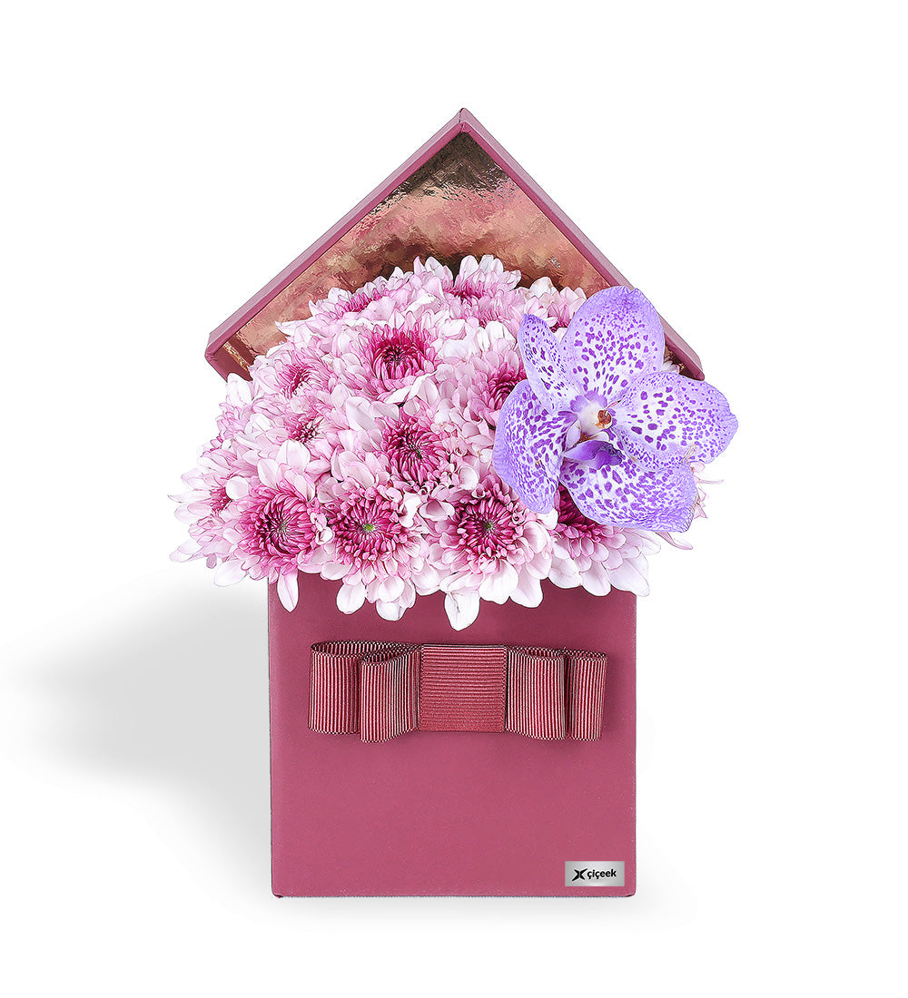 Pembe Papatya ve Vanda Mor Orkide